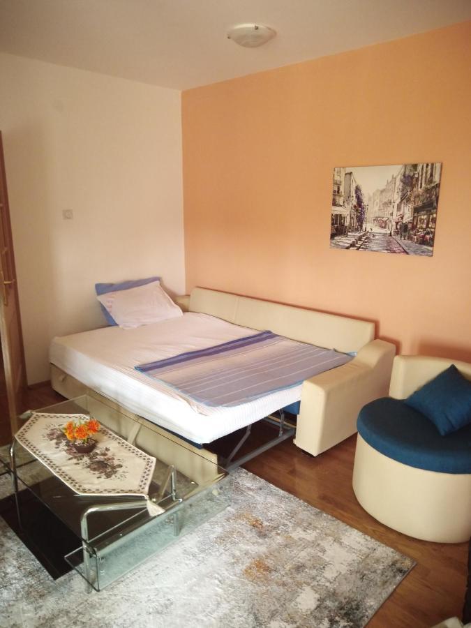 Apartman Ozi Petrovac Exteriör bild