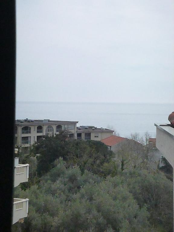 Apartman Ozi Petrovac Exteriör bild