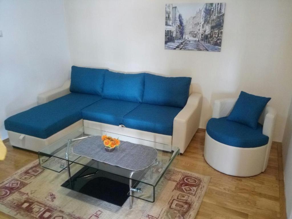 Apartman Ozi Petrovac Exteriör bild